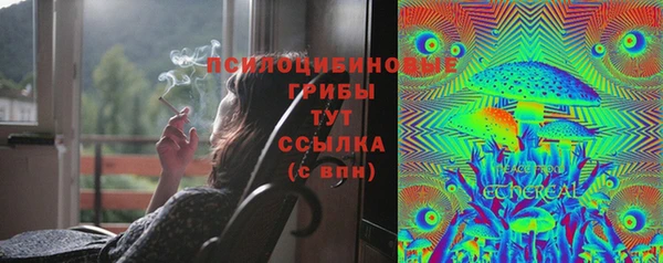 таблы Надым