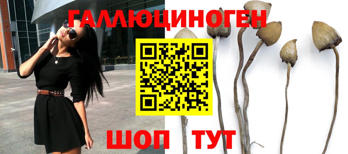 Галлюциногенные грибы Magic Shrooms  Вход с VPN  цены   Мытищи 