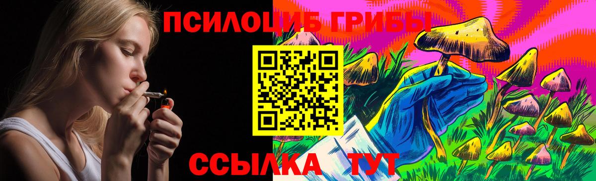 Галлюциногенные грибы GOLDEN TEACHER Мытищи